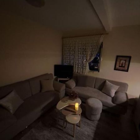 Quiet, Cozy, Luminous Apartment Tiranë Eksteriør bilde