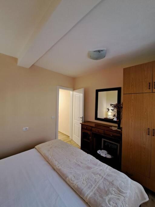 Quiet, Cozy, Luminous Apartment Tiranë Eksteriør bilde