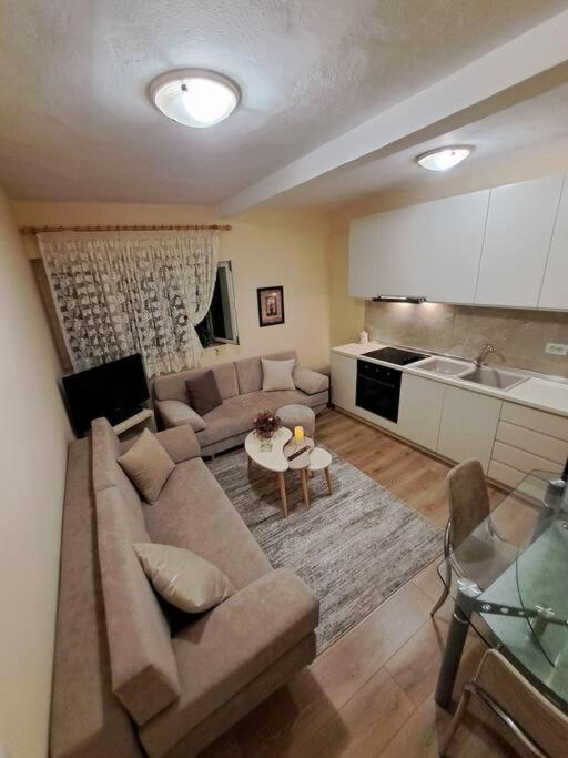 Quiet, Cozy, Luminous Apartment Tiranë Eksteriør bilde