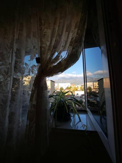 Quiet, Cozy, Luminous Apartment Tiranë Eksteriør bilde