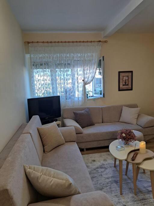 Quiet, Cozy, Luminous Apartment Tiranë Eksteriør bilde