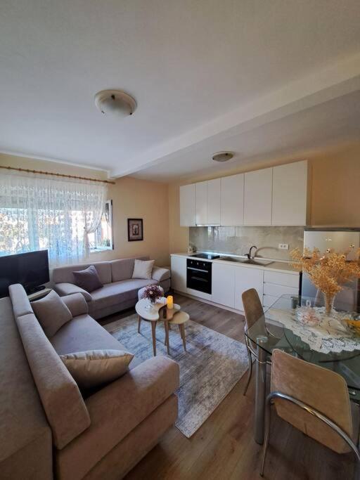 Quiet, Cozy, Luminous Apartment Tiranë Eksteriør bilde