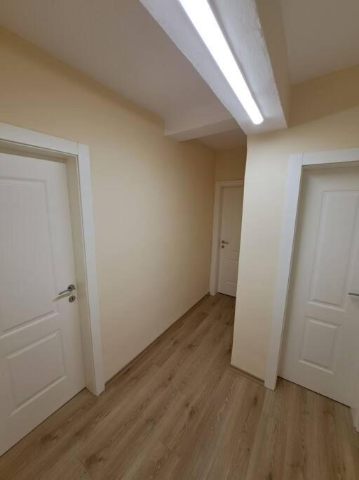 Quiet, Cozy, Luminous Apartment Tiranë Eksteriør bilde
