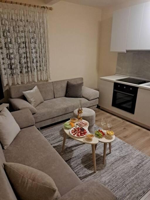 Quiet, Cozy, Luminous Apartment Tiranë Eksteriør bilde