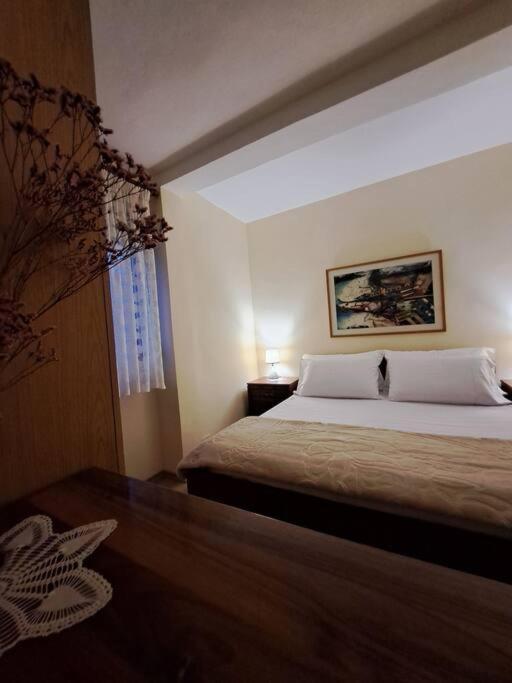 Quiet, Cozy, Luminous Apartment Tiranë Eksteriør bilde
